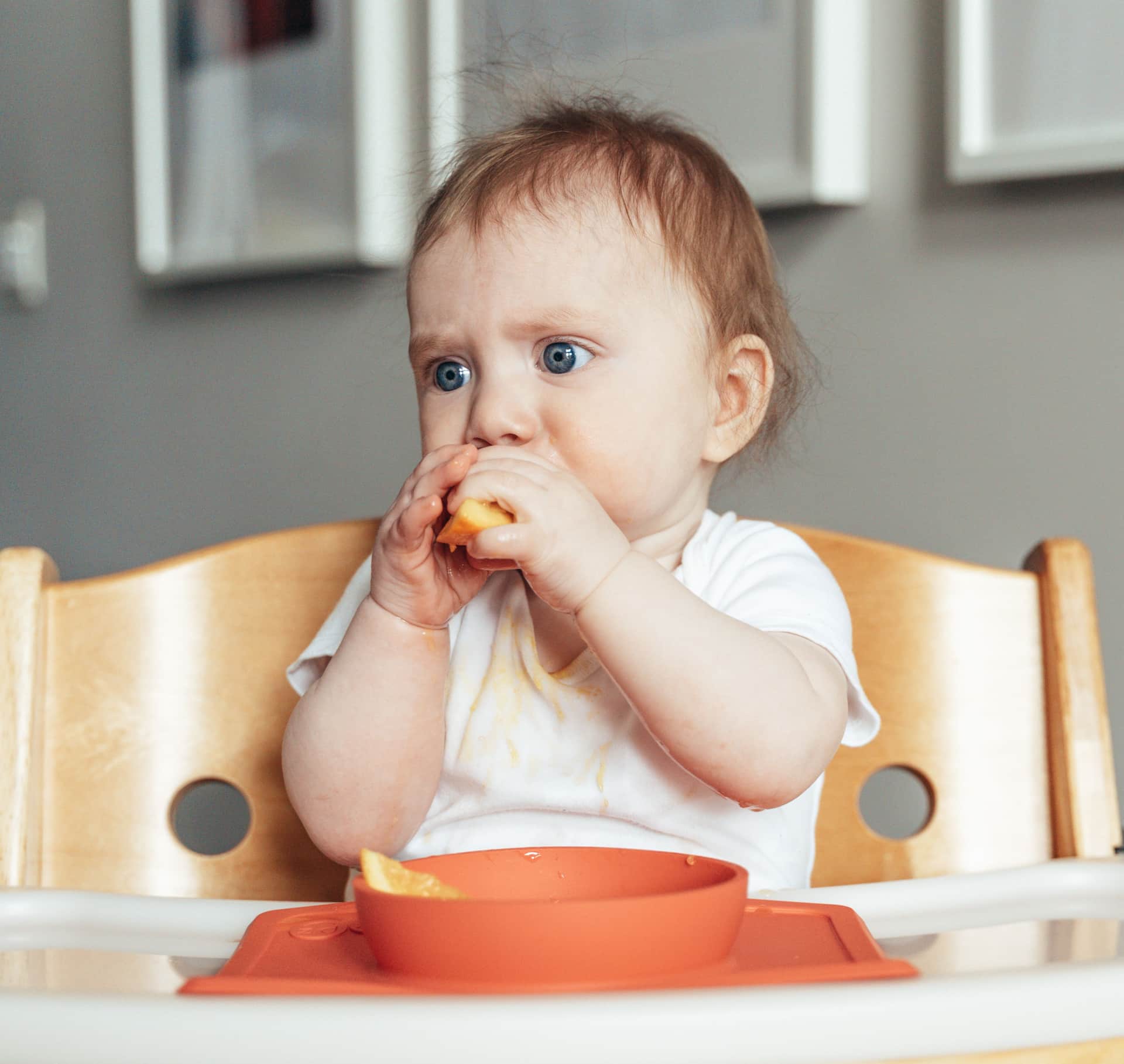 A baby in a high chair eating a slice of fruit (illustrative photo)